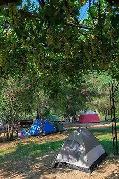 Otel Gorge Club 4*