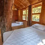 Hotel Gorge Club 4*