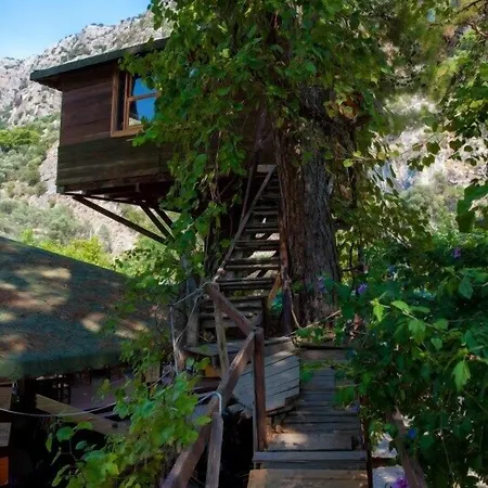 Otel Gorge Club Saklıkent