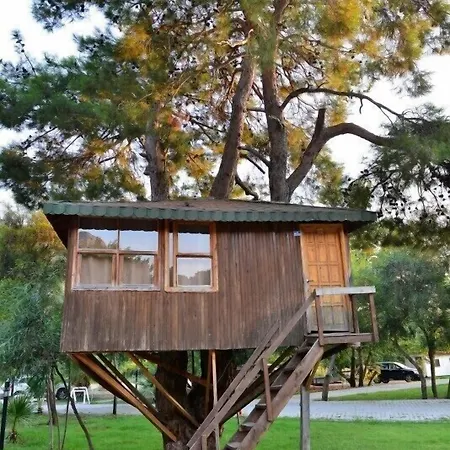 ホテル Gorge Club Saklikent