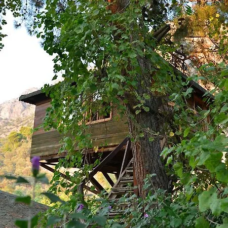 Gorge Club Hotel 4*