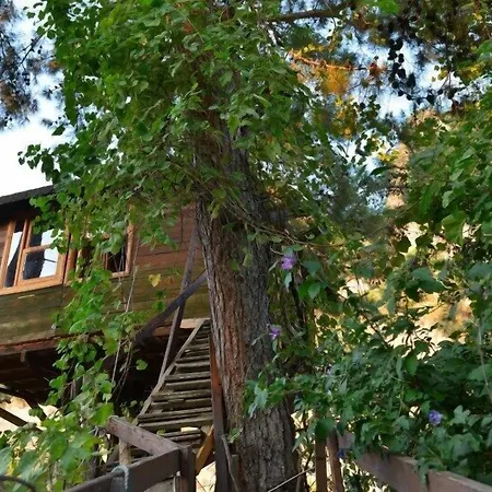 Hotel Gorge Club